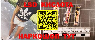 PSILOCYBIN Кимры